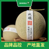 百果园 玫珑蜜瓜2粒普通装（单果重≥900g，净重4-4.5斤） 商品缩略图0