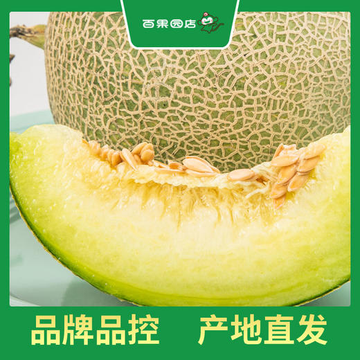 百果园 玫珑蜜瓜2粒普通装（单果重≥900g，净重4-4.5斤） 商品图1
