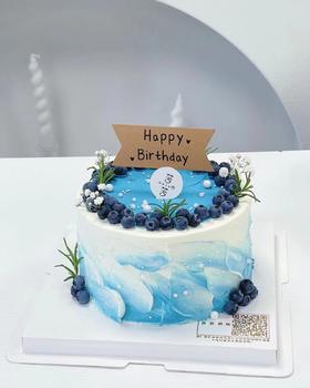 蓝莓蛋糕（下单现做，根据排单2-3小时）