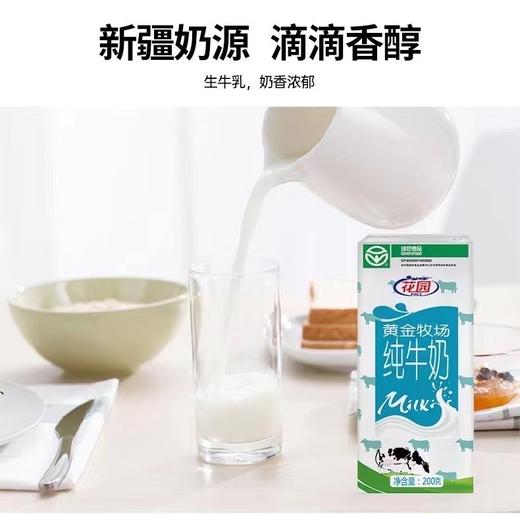 新疆花园黄金牧场纯牛奶🥛浓郁的奶香味 商品图3