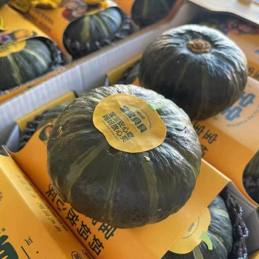 二十四作惠和一号「贝贝南瓜」中大瓜1粒 约380~430g 商品图0