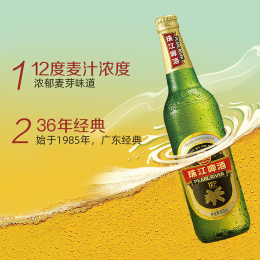 【整箱】珠江啤酒12度 经典老珠江啤酒 600ml*12瓶 商品图2