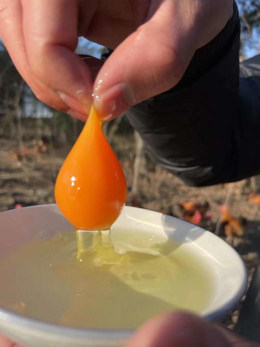 九华山 散养土鸡蛋 无农残 60枚一箱 商品图1