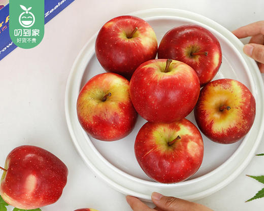 新西兰丹烁苹果/1盒（5个，共750g±50g） 商品图2
