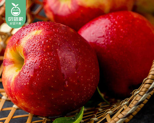 新西兰丹烁苹果/1盒（5个，共750g±50g） 商品图3