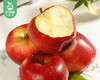 新西兰丹烁苹果/1盒（5个，共750g±50g） 商品缩略图1
