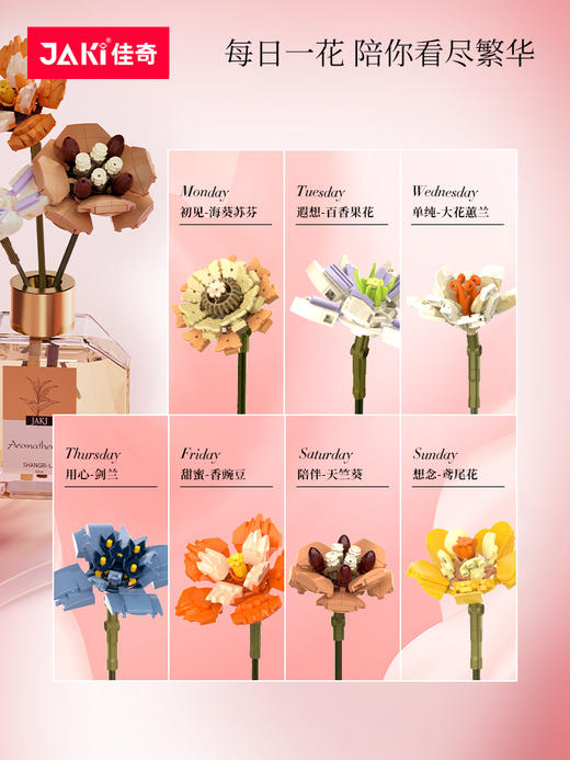 G-JQ-JK20235 佳奇 香薰花礼盒 商品图3