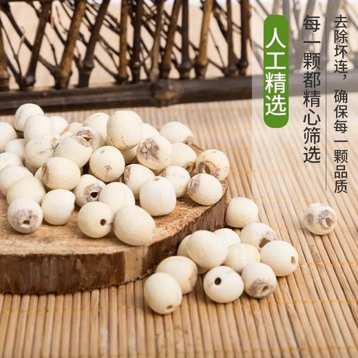 鄂莲洪湖莲子磨皮白莲钻心莲500g 商品图2
