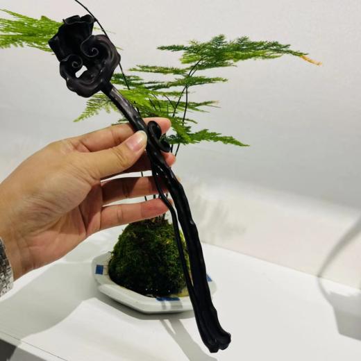 灵芝如意°黑檀28*4.5cm 商品图0