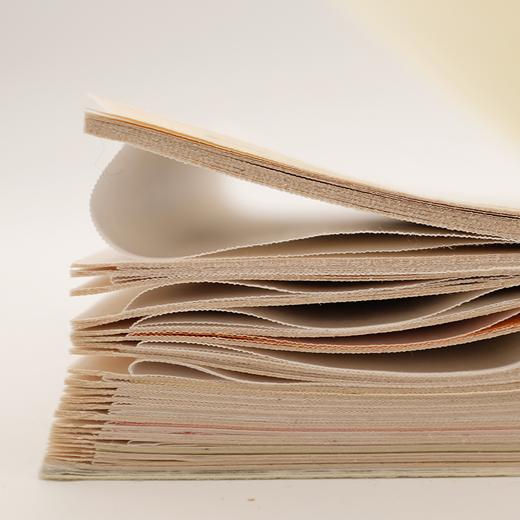 袁明华《植物先生：二十四节气植物研学课》 商品图4