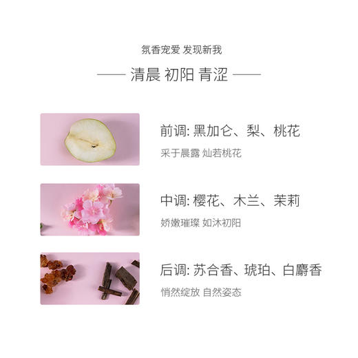 KJ 阿蜜浓梅森氨基酸植物精粹润泽洗发水   护发素 （樱花限定）450ml 商品图1