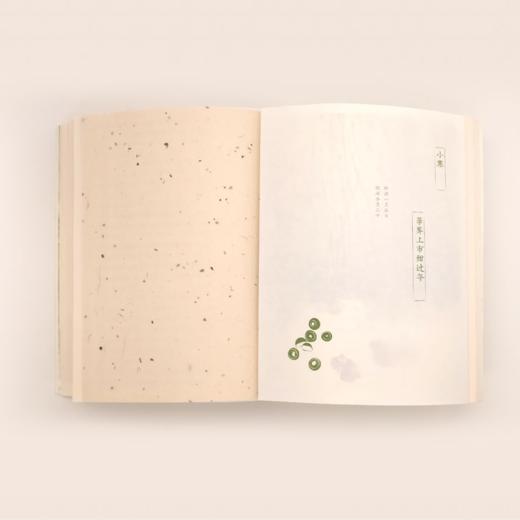 袁明华《植物先生：二十四节气植物研学课》 商品图5