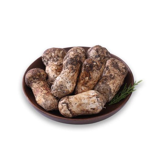 香格里拉直采空运松茸（5-7cm)500g 商品图0