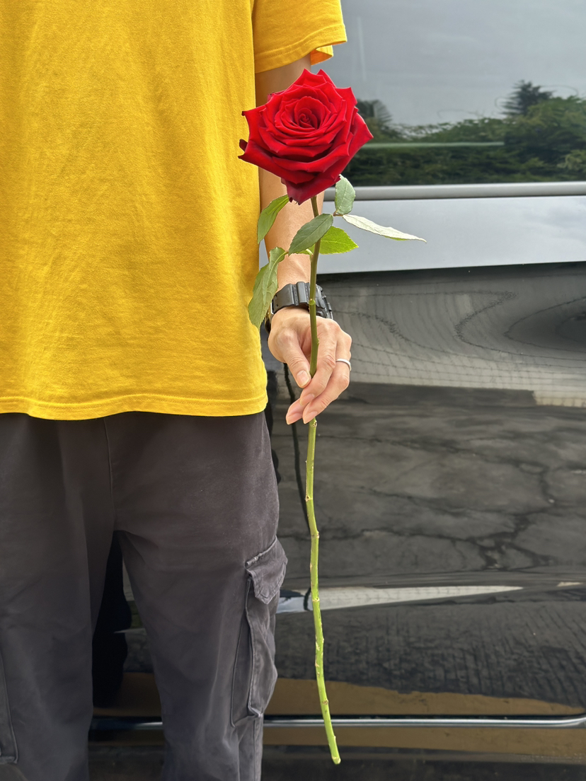 厄瓜多尔玫瑰explorer 探险家10支