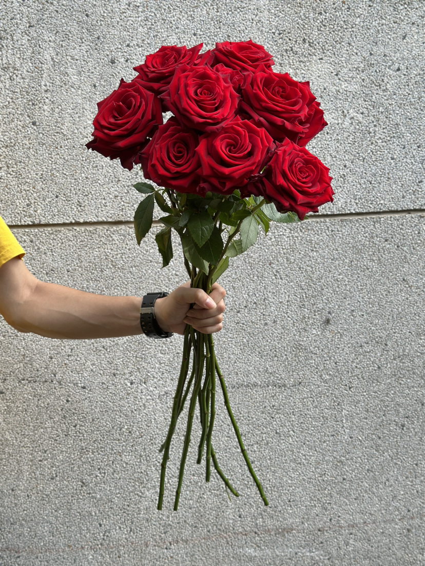 厄瓜多尔玫瑰explorer 探险家10支