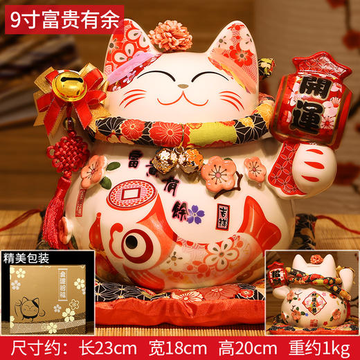 9寸富贵有余招财猫存钱罐（21*17*20）开业礼生日礼物 陶瓷存钱储蓄罐收银台开业 商品图2