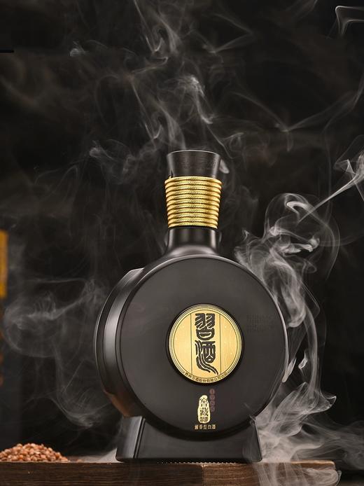 习酒窖藏1988 酱香型白酒53度500ml 单瓶礼盒装 贵州白酒 商品图2