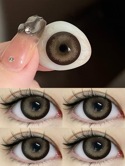 Doragina日抛·奶乖泰迪·14.5mm大着色·10片日抛 商品图6