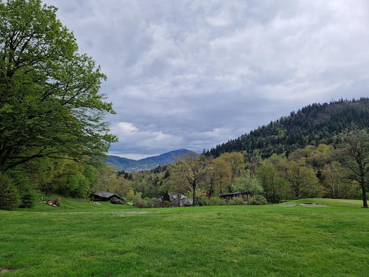 巴登巴登高尔夫俱乐部 Baden-Baden Golf Club | 巴登巴登高尔夫球场 | 德国高尔夫球场俱乐部 | 欧洲 商品图5