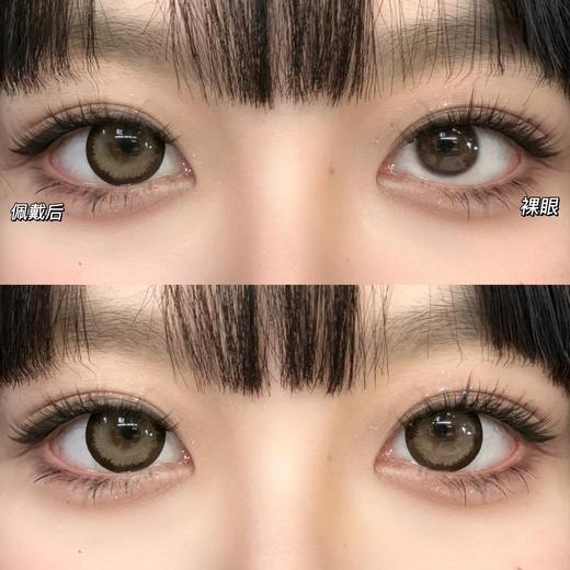 Doragina日抛·奶乖泰迪·14.5mm大着色·10片日抛 商品图3