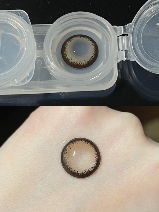 Doragina日抛·奶乖泰迪·14.5mm大着色·10片日抛 商品图5