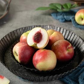 新疆珍珠枣油桃（特级果）