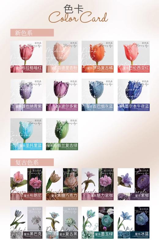 星乐鲜花 -吸染剂 商品图2