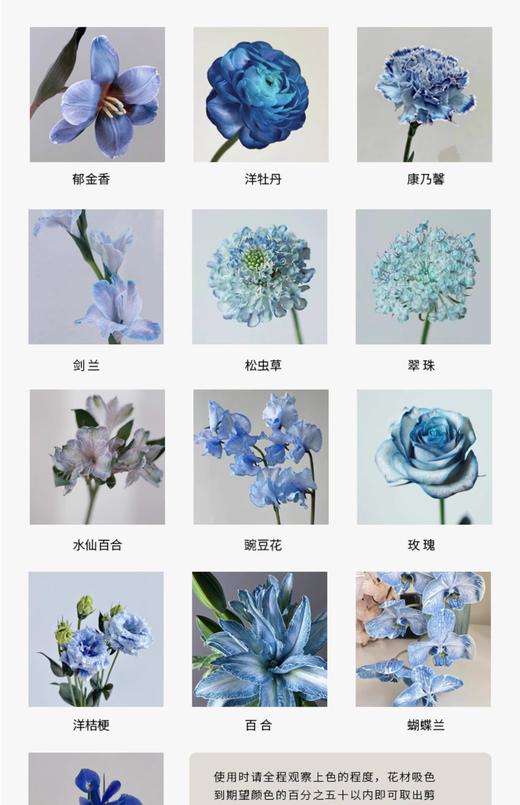 星乐鲜花 -吸染剂 商品图4