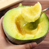 【海南】玫珑蜜瓜 冰淇淋网纹瓜 软糯香甜 新鲜水果 当季采摘 基地直发 商品缩略图0
