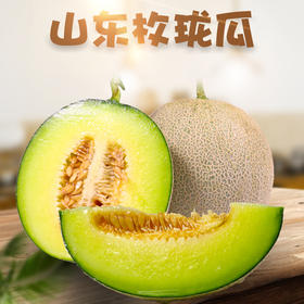 【山东·聊城】玫珑蜜瓜 冰淇淋网纹瓜 软糯香甜 新鲜水果 当季采摘 基地直发