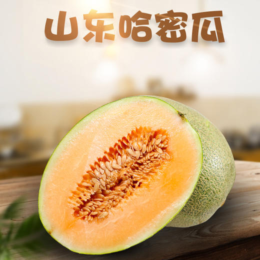 【山东·哈密瓜】西州蜜瓜 脆甜哈密瓜 当季新鲜甜瓜 商品图0