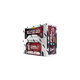 PANINI 2022年世界杯 PRIZM Hobby 球星卡