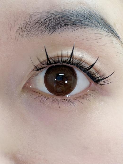 Laseecon年抛·么么茶·14.2mm中等着色·韩产2片 商品图8