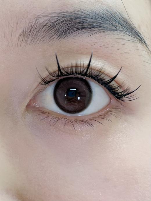 Laseecon年抛·恋爱小狗·14.2mm中等着色·韩产2片 商品图7