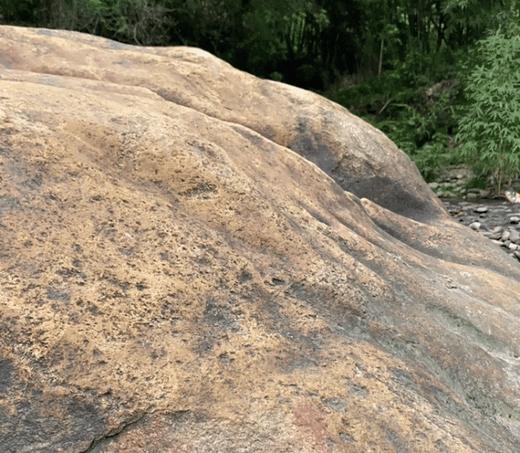 公纽男女同款轻便防水运动鞋（3-856） 商品图14