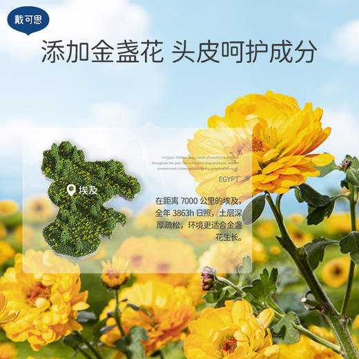 【怡禾推荐】戴可思洗发沐浴组合：金盏花洗发露/金盏花沐浴露（送同款小样） 商品图9