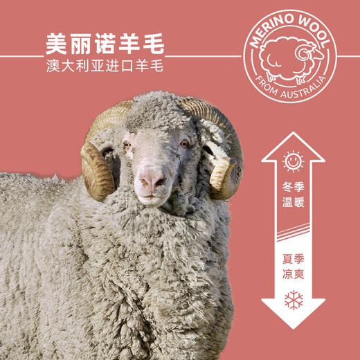 【新品升级199元2双】ZEALWOOD赛乐美丽诺羊毛袜健身训练中筒袜加厚保护防滑 商品图4