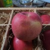 有机真的丑红富士苹果瑕疵果（不售后）| 合作生产 Organic Fuji apple | Partner Production 商品缩略图2