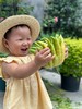 【香中君子.佛手】宝贝视频就是养护视频（送佛手卡片*1张/款式随机） 商品缩略图10