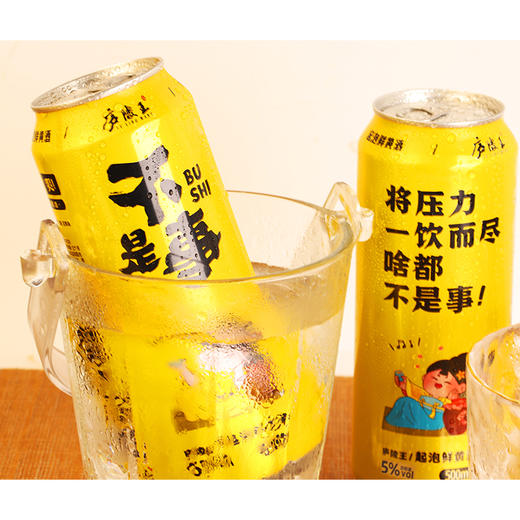 庐陵王起泡黄酒5度微醺低度数黄酒 480ml/瓶 商品图2