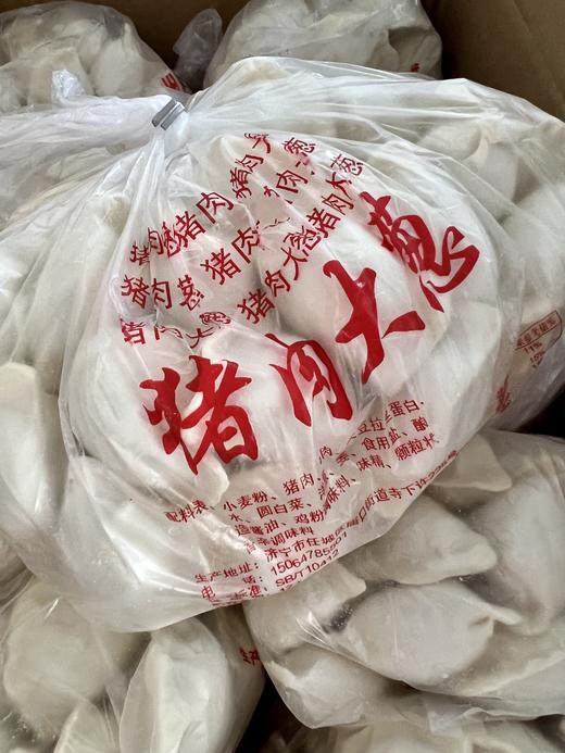 初彩—猪肉大葱水饺1kg 商品图0