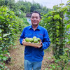 生态黄金百香果（申通或京东快递，广州） | 合作生产*  Eco-Passion fruit | Partner Production 商品缩略图1