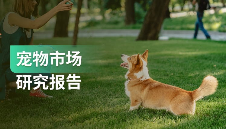 宠物消费情况分析及网络营销洞察