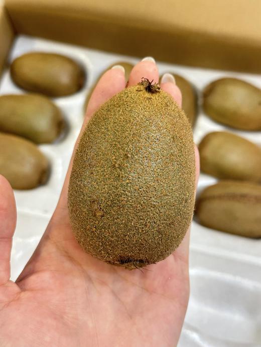 晚采徐香-徐香猕猴桃 清甜软糯 商品图3