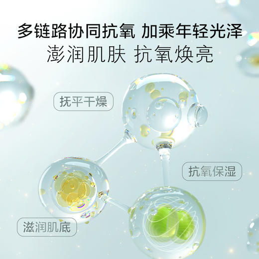 白桦水润盈亮精华面膜 商品图5