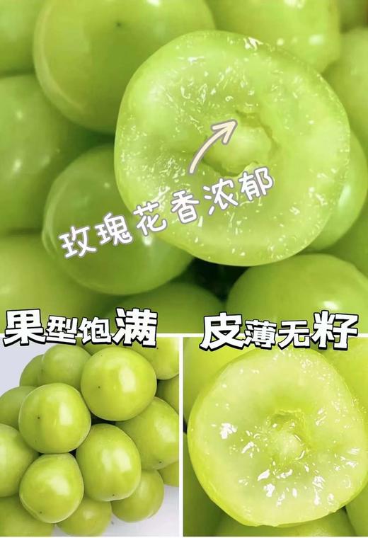 晴王·阳光玫瑰葡萄（超甜）自带果香 皮薄不涩嘴 商品图2