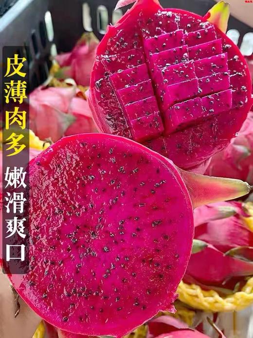 【超级低价】1.98元每颗  9.9元5颗 红心火龙果大果50大果 商品图1