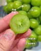 晴王·阳光玫瑰葡萄（超甜）自带果香 皮薄不涩嘴 商品缩略图1