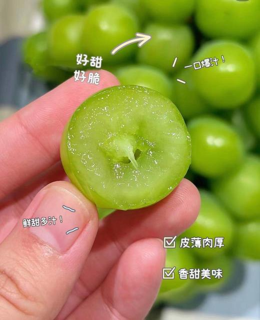 晴王·阳光玫瑰葡萄（超甜）自带果香 皮薄不涩嘴 商品图1