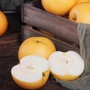 冰糖秋月梨（单果350g左右) 商品缩略图0